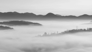 Niebla Mental con Esclerosis Múltiple